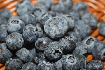 Blueberries (Vaccinium sect. Cyanococcus) are small, nutrient-rich berries that are highly regarded for their sweet taste, vibrant color, and numerous health benefits.
