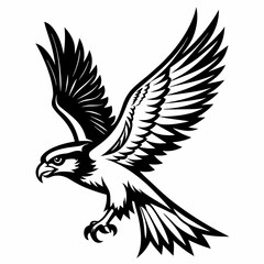 eagle flying vector illustration