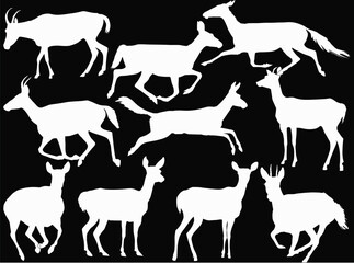 ten antelopes set isolated on black