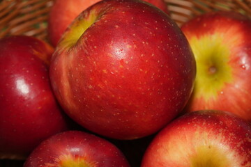 The apple (Malus domestica) is one of the most widely cultivated and consumed fruits in the world. Known for its sweet or tart flavor, crisp texture, and versatility|蘋果