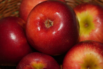 The apple (Malus domestica) is one of the most widely cultivated and consumed fruits in the world. Known for its sweet or tart flavor, crisp texture, and versatility|蘋果