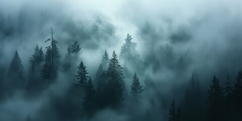 Mysterious forest enveloped in dense fog, creating a serene yet eerie atmosphere. Perfect for nature and landscape themes.