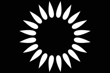 abstract black and white flower