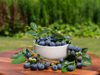 Ripe sweet organic blueberry in the bowl