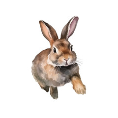 Cute baby rabbit is running watercolor vector illustration, white background