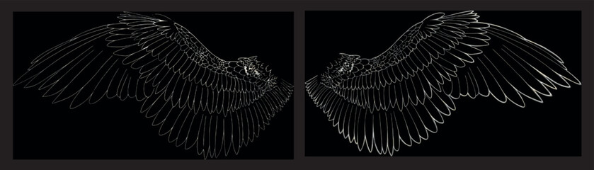 Set Png Linear outline drawing angel wings gold silver 3D contour hand drawn clip art element pegasus wing bird parrot line art feathers owl fairy coloring book page concept wing y2k element aesthetic