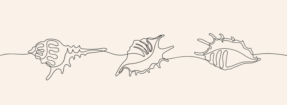 Sea shell in continuous line art drawing style. Hand drawn vector illustration. Minimalist black linear sketch isolated on white background.
