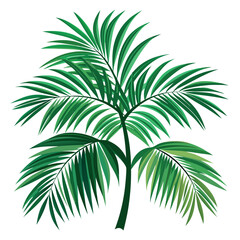 Obraz premium Tropical Palm Tree Vector Design Illustration