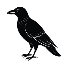 crow silhouette vector illustration, black and white