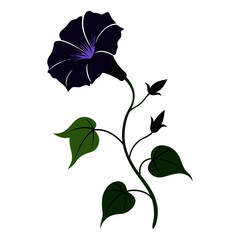 create a morning glory silhouette clean design vector illustration 