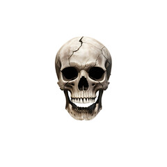 Fototapeta premium Skull in vintage stule isolated on a blank background,Generative Ai