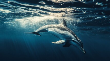 Naklejka premium A detailed shot of a dolphin swimming just beneath the water's surface, with its body partially visible and the play of light creating a captivating underwater effect.