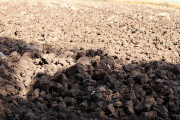 Rural landscape in northern Israel.