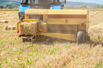 Tractor making hay bales in the dawn morning light during summer 