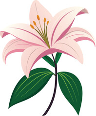 flower vector 