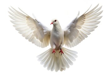 Obraz premium A white dove with outstretched wings, symbolizing peace, hope, purity, faith, and new beginnings.