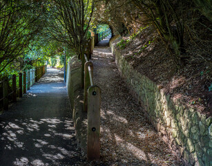 A sunlit path diverges left and right in a pretty rural setting. Country walks and exercise concept image. 