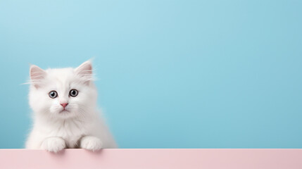 Cute Cat on Solid Background with Generous Copy Space