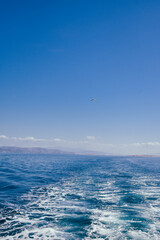 GRECIA