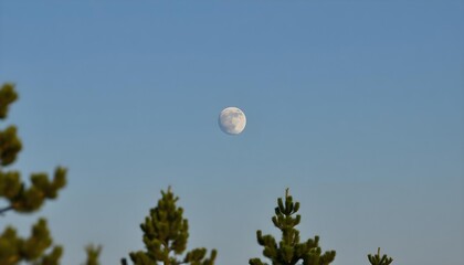 A panoramic view of the moon in a clear sky, framed by pine trees in the foreground create with ai