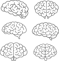 Brain line illustration mind vector 
