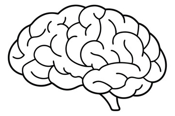 Brain line illustration mind vector 