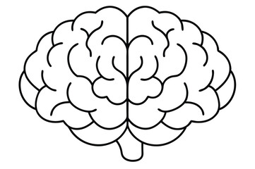 Brain line illustration mind vector 