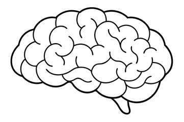Brain line illustration mind vector 