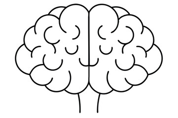 Brain line illustration mind vector 