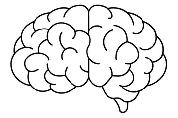 Brain line illustration mind vector 