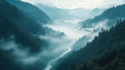 Misty Mountain Valley