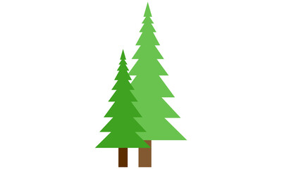 christmas tree , fir tree isolated on white background