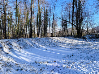 Froschteich zugefroren und mit Schnee bedeckt, im Jagdhäuser Wald in Baden-Baden