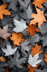 Dark leaves scattered on a surface with a single brown leaf in an artistic arrangement