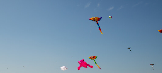 A vibrant array of colorful kites soaring in the sky against a clear blue backdrop.