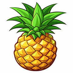 Fototapeta premium Vector illustration of pineapple fruit