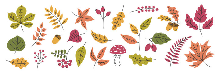 Cute Autumn leaf berry Collection. Falling forest leaves acorn berries mushroom background. Natural foliage Doodle illustration. Icon set. Design element