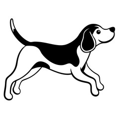 beagle dog isolated on white