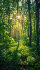 Tranquil spring forest bathed in sunlight, capturing the beauty of nature in realistic photography