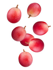 Red grape berries fall in space. Isolated on white