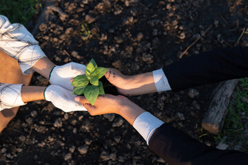Eco-business company empower farmer with eco-friendly farming practice and clean agricultural...