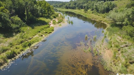 Aerial View of Restored River with Lush Banks and Abundant Wildlife Illustrating Conservation Success