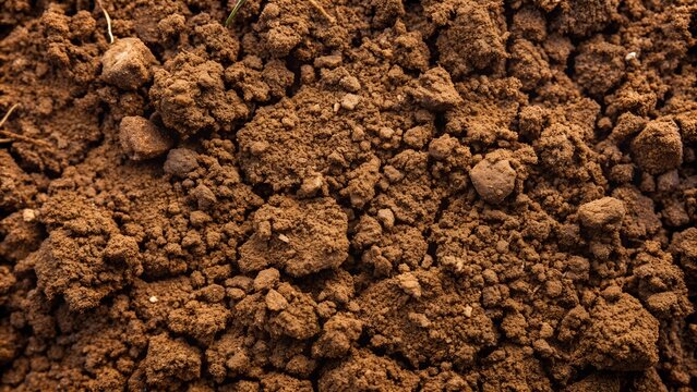 Soil Texture Background - Generative AI