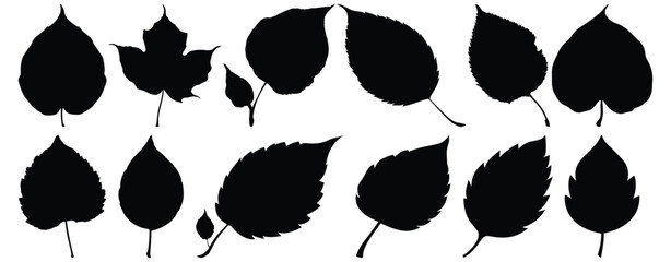 Leaf silhouette set vector design big pack of foliage illustration and icon