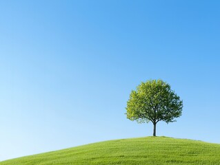 Obraz premium Serene Hilltop Haven with a Lone Tree