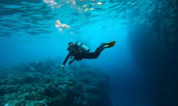 A man is diving underwater with a scuba tank. The water is dark blue and the man is surrounded by many fish
