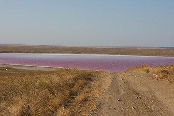 A salty pink lake, a miracle of nature. Hiking and recreation, healing lake
