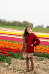 cute little girl in a tulip field in Holland. Kid with basket picking fresh flowers on sunny spring day.