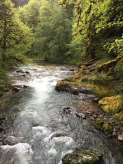 Obraz premium Santiam River in Cascade Mountains of Oregon. Water falls, white water. 