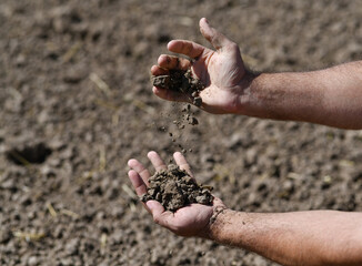 Farmer holding a fertile soil in hands. Agriculture, agribusiness. Gardener holds fertilized soil. Agriculture concept. Gardening season. Soil field.